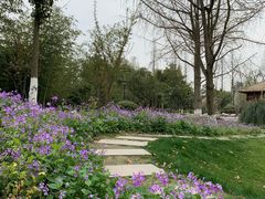 -成飞公园