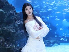 -海合安成都极地海洋公园