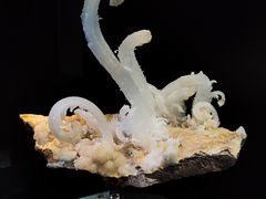 -天津梅江会展中心