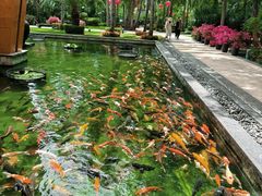 -三亚湾海居雅高铂尔曼度假酒店