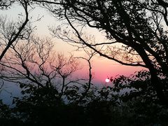 -紫金山山顶公园