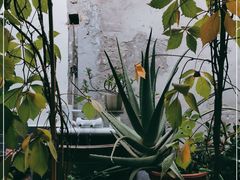 -伊隆斋(什刹海店)