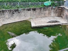 -深圳野生动物园