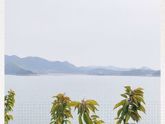 -望湖烤鱼