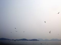 -海驴岛(荣成市)
