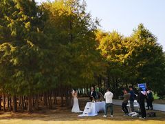 -广州市流溪河国家森林公园
