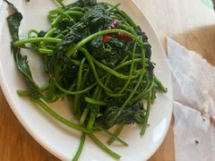 炒素菜-传奇霸王兔