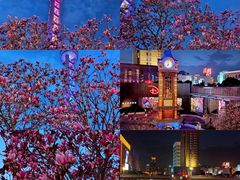 -南京路步行街