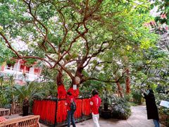 -寿山福海养老服务中心(石景山院)