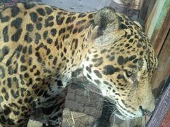 -新疆天山野生动物园