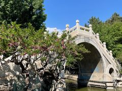 -团结湖公园
