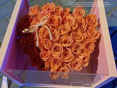 -F.Story 花和故事(新天地店)