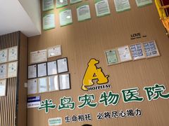 -半岛宠物医院24小时·内窥镜·牙科·碎石中心(府城大道店)
