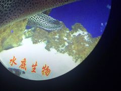 -白鹤梁水下博物馆