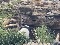 -辛玛王国游乐园