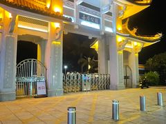 -溪岸路花鸟市场