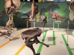 -国家自然博物馆