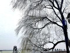 -汴河街