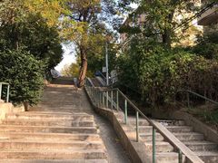 -风车面包