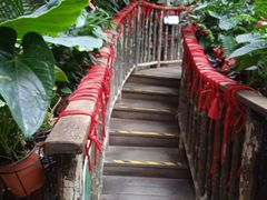 -正佳雨林生态植物园