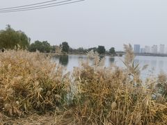-水西公园