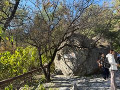 -阳台山自然风景区