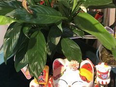 -EGO原创机械密室逃脱(朝阳大悦城2店)