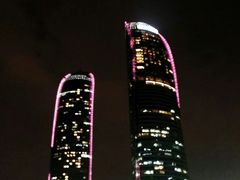 -演武大桥观景平台