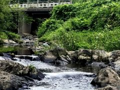 -宁波浙东大竹海景区