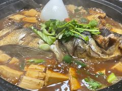 红烧鱼头豆腐-秋香鱼馆(世凹桃园店)