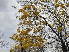 -中国移动南方基地