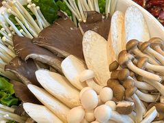 -揽月斋炙子烤肉·清真(安定门·五道营店)
