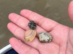 -天津东疆湾沙滩景区