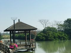 -大湾区中央湿地公园