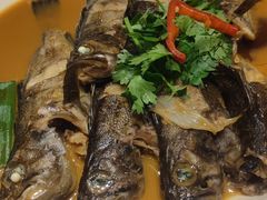 -鲜得莱渔港·小平岛海胆馆(七贤岭店)