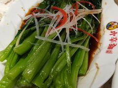 白灼菜心-天山传奇新疆菜(SKLP店)