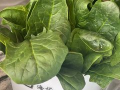 -八合里牛肉火锅(深圳光明大仟里二店)