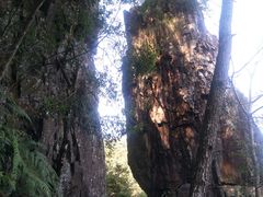 -福建天门山