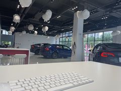 -TESLA 特斯拉(深圳观澜特斯拉直营钣喷中心)