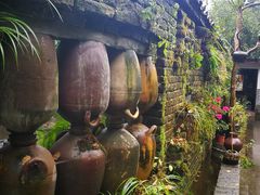 -青城甲(青城山店)