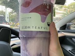 -星满杯TEAFUL(罗湖东门店)