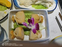 鱼子福袋-渝蛙先生领鲜美蛙老火锅