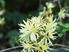 -香山公园