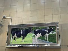 -义顺牛奶公司(新马路老店)