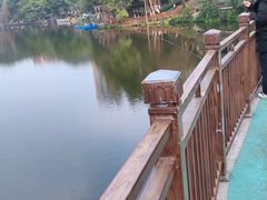 -重庆彩云湖湿地公园