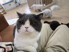 -1013 PET SHOP 宠物商店(近铁城市广场店)