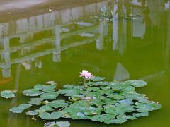 -深圳国际园林花卉博览园