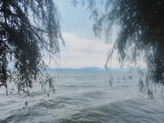 -捞渔河湿地公园