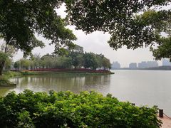 -顺峰山公园
