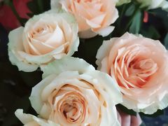 -新华里咖啡书吧(新华书店小寨店)